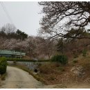 김희선생 묘소 이미지