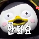 구의복싱 이미지