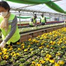 백양산 양묘장 이미지