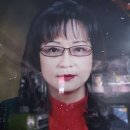 삼보부동산중개사무소 이미지