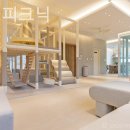 스테이 피크닉 이미지