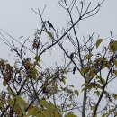 감천1동-11 이미지