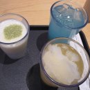 그린오션제주