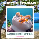 호텔 더 시스타 | 수린섬투어 배멀미 덜하려면? 시스타카타마란 타야지!