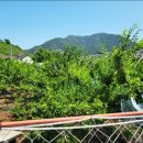 영부농장 이미지