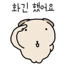 보니따피부관리 이미지