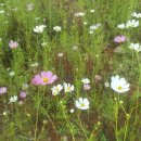 엑스레이싱전문정비 이미지