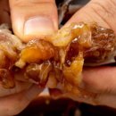 참진유통 이미지