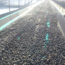 옥이농장 이미지