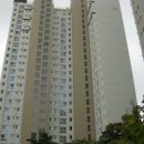 숲속온누리약국 이미지