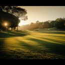 그린나래(주)라비에벨CC대식당 | 라비에벨CC 듄스코스 이용후기 춘천 골프장