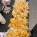 국윤미술관 | 냥!