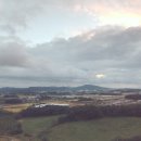 희또마미수제간식 이미지