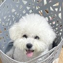 센스멀티샵