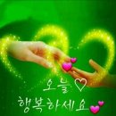 베니샤프팔마점