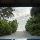 멋진세계 빌라마노 | 몰디브 신혼여행 디구라 비치풀빌라 2일차 (다이닝룸, 스노쿨링, 카페델솔, 마사지, 더 팔루마)