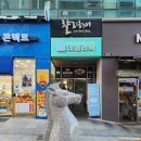 데일리쿡파주 이미지