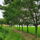 여주-0234 이미지