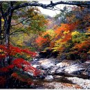 화랑포충전소 이미지