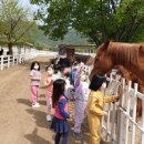 상리초등학교 이미지