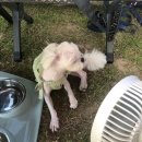 위천수변테마파크 화장실 | 캠핑로그 ep2. 군위 위천수변테마파크ㅣ캠린이의 또간집