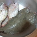 경일민박 이미지