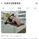 문덕동물병원 이미지