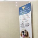 영통동물병원 이미지