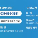 영동동물병원 이미지