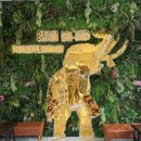 자오헤어 | 태국 치앙마이 여행 | 태국전통의상 체험 반오르자오 ‘Baan Orjao’ | 내돈내산후기