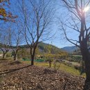 더멍스테이 이미지