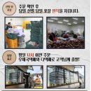 우리농산 | 체중관리에 좋은 태안농산 꿀고구마
