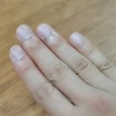 예쁜손톱 이미지