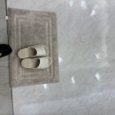 제니스네일1호 이미지