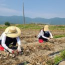 초계면사무소 이미지