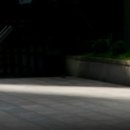 성시교회 이미지