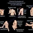 워너비 짐 이미지