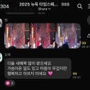 46번가 | [2025년 뉴욕 볼드랍 Ball Drop 후기] 해피 뉴 이어 2025