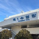 역사와 전통의 서울 50m 수영장 - 잠실제1수영장 자유수영 후기