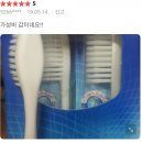 부드러운 어금니 사랑니 이중 미세모 앨트웰 칫솔 리뷰 후기
