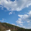 영양군 공설운동장 이미지