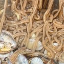 세엄마칼국수 삼천점 이미지