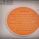 조마루뼈다귀 무거점 이미지