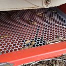 춘천농협 경제사업소 이미지