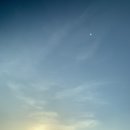 도안동로 이미지