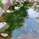 대화4교 이미지