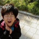 콩콩 이미지