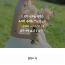 남서울빌딩 | [직계가족 결혼식 스몰웨딩] 63빌딩 슈치쿠 하스룸 / 베베궁 꽃장식 / 쏭스냅 내돈내산 후기