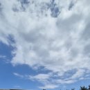 밀키스테이 이미지