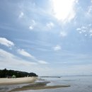 율포 봇재가든 이미지